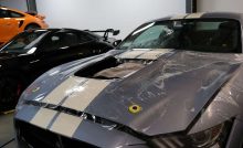 Shelby gt500 paint protection film application